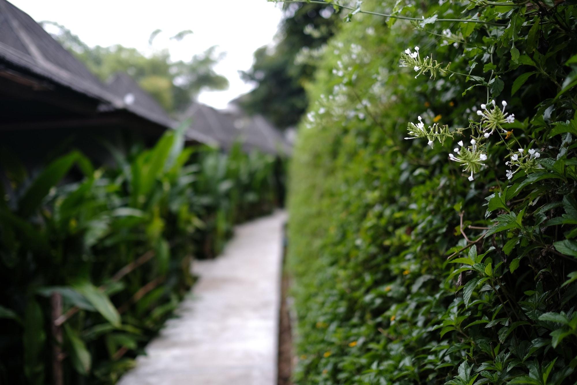Yoma Hotel, Pai Bagian luar foto