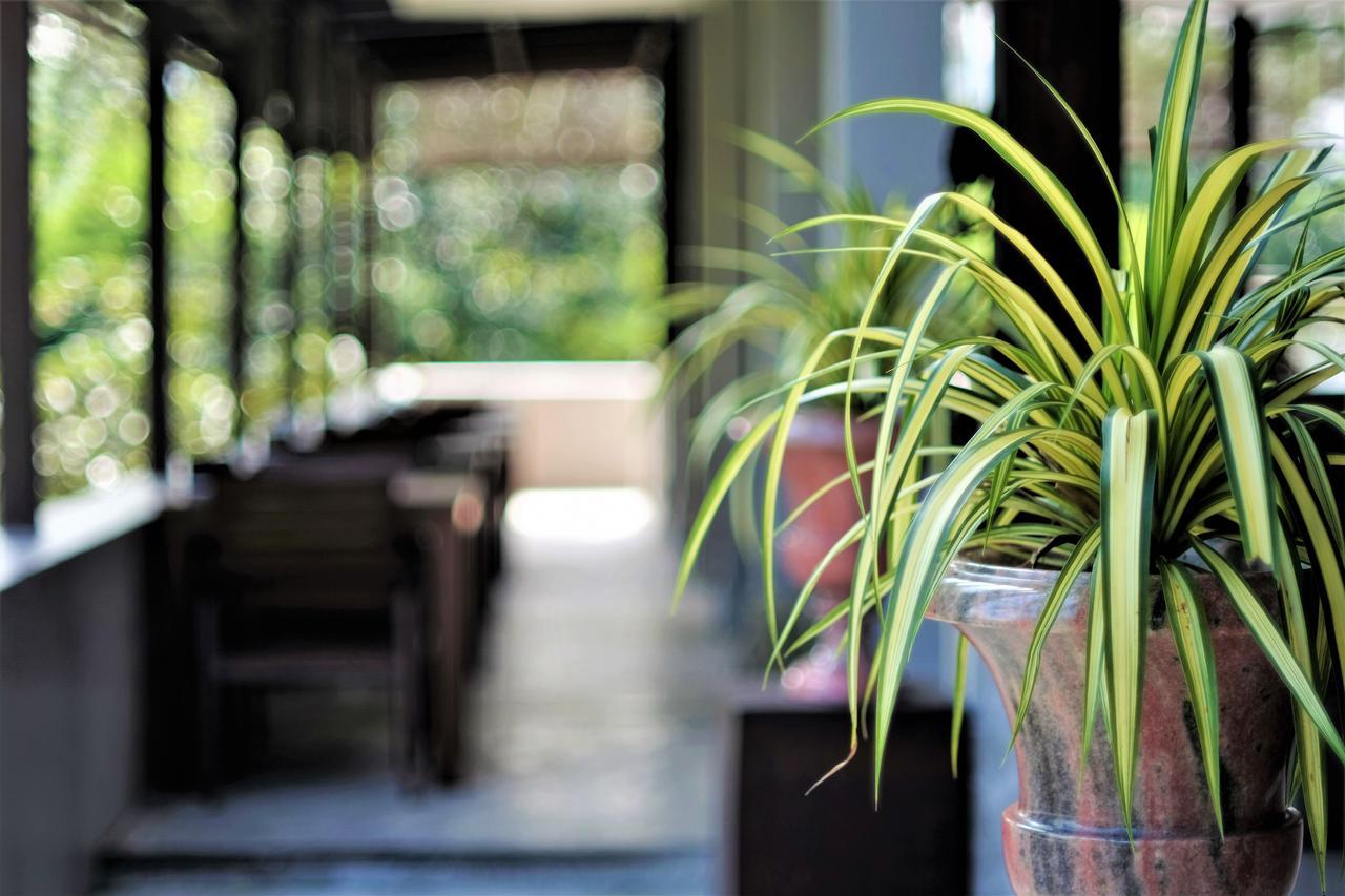 Yoma Hotel, Pai Bagian luar foto